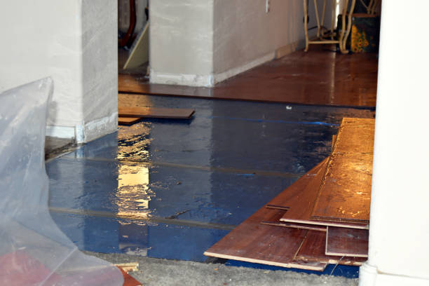 Professional Sewage Cleanup technician working in Brownsville, OR